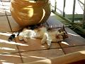 Caramel 08-04 044